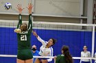 Volleyball vs Babson  Wheaton Women's Volleyball vs Babson College. - Photo by Keith Nordstrom : Wheaton, Volleyball, VB